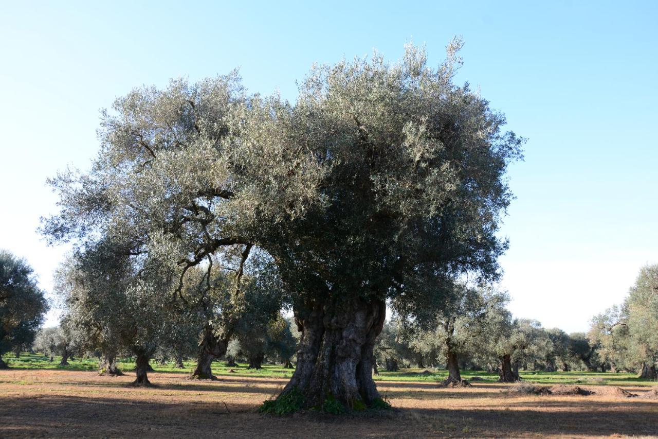 Masseria Rifisa Agriresort Caprarica di Lecce Экстерьер фото